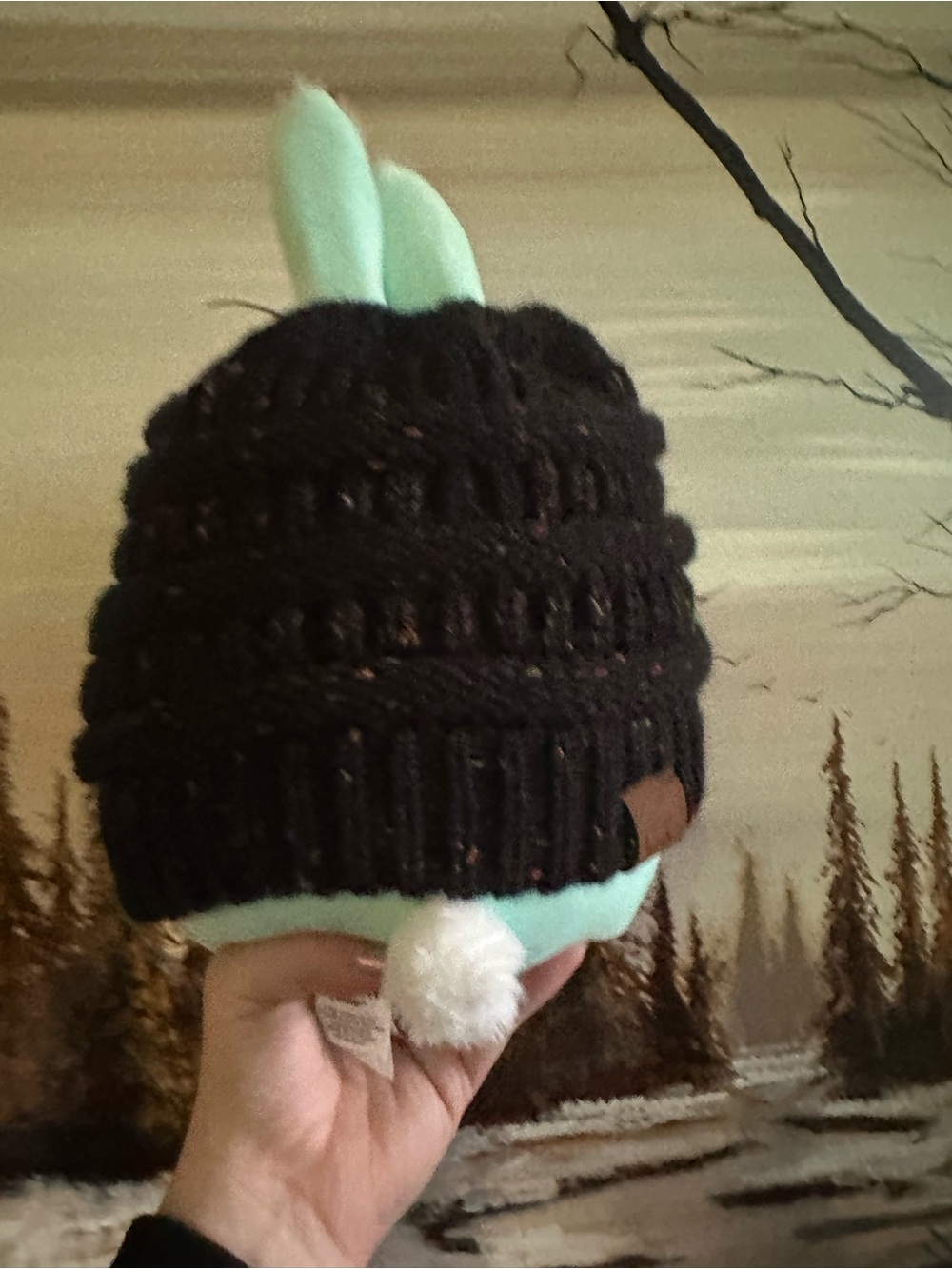 Beanie Hat in Black with Ponytail/Bun hole